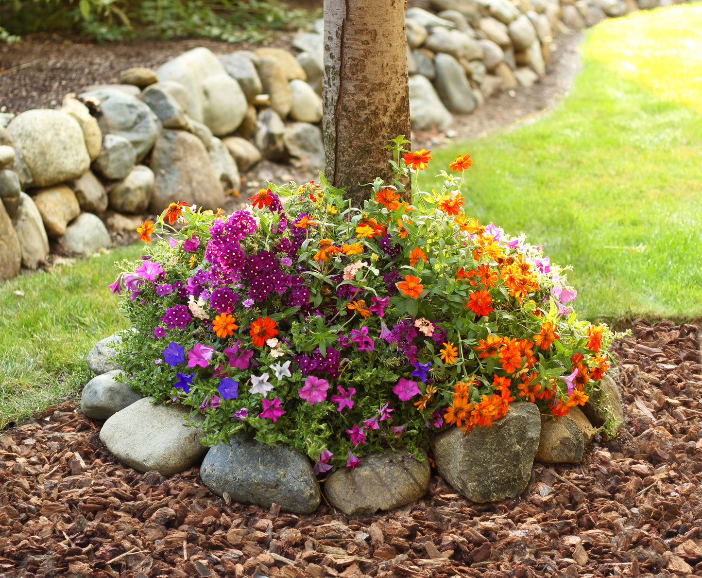 Sunny Tree Ring Flower Mat - 1 Seed Mat