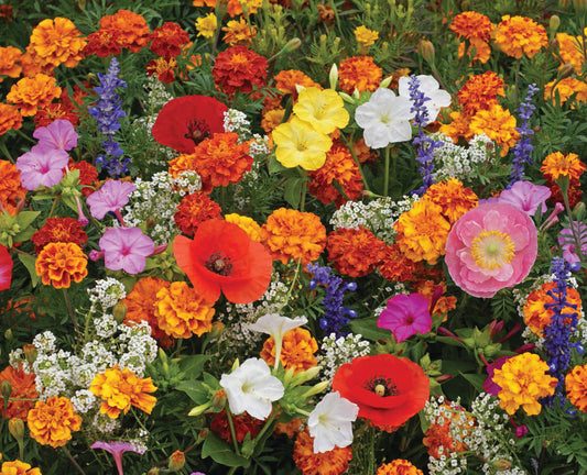 Deerguard Flower Garden - 1 Seed Mat