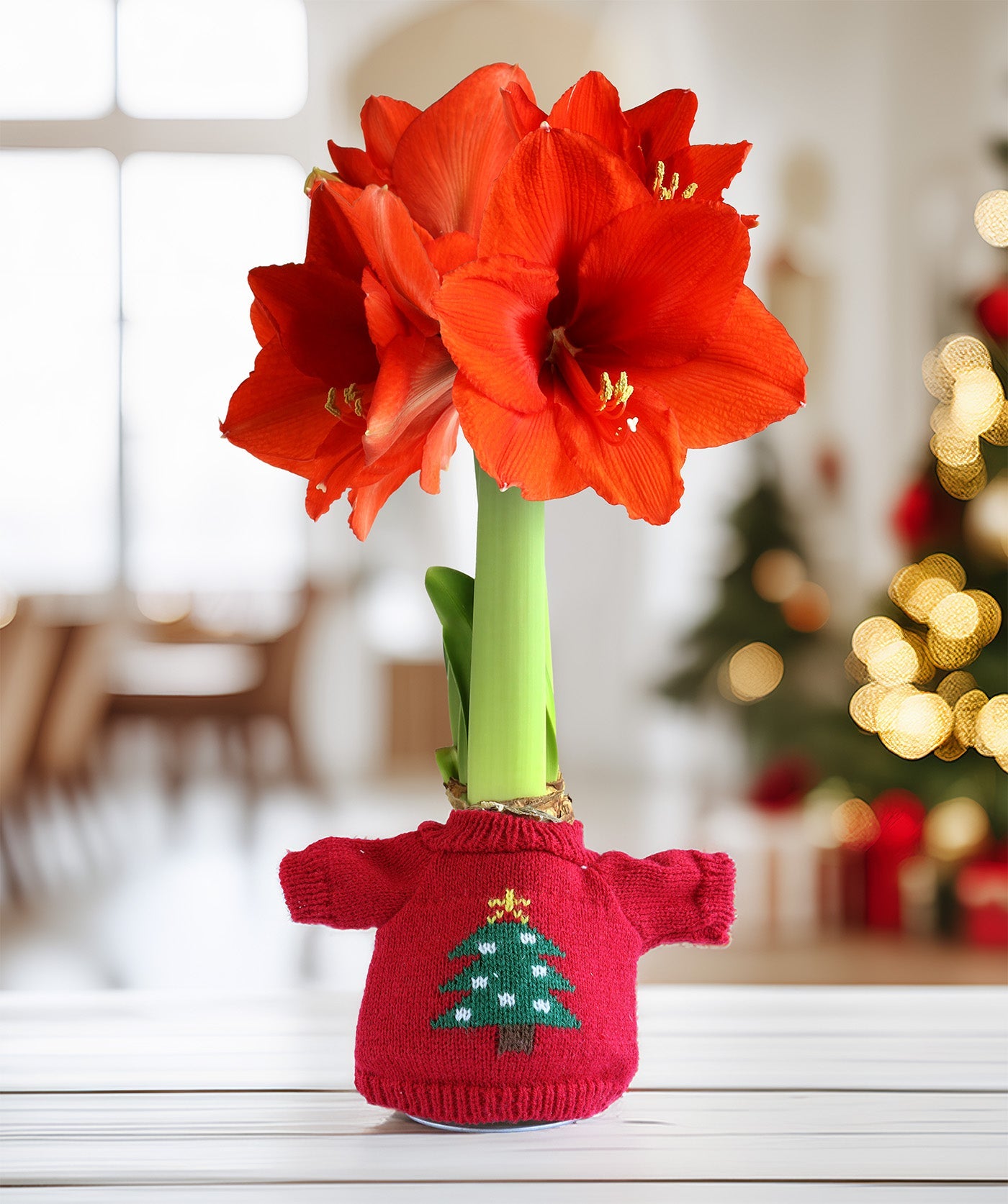 Christmas Tree Sweater Amaryllis with Red Flower