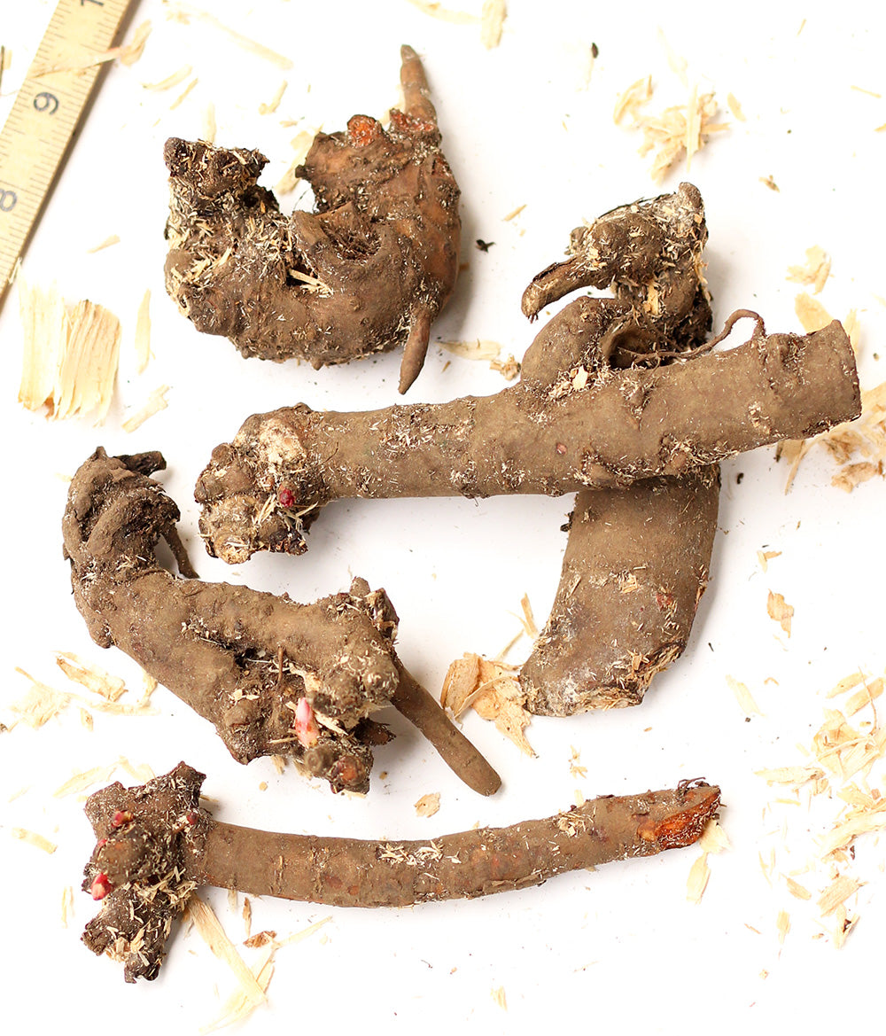 Peony Mixed - 5 divisions